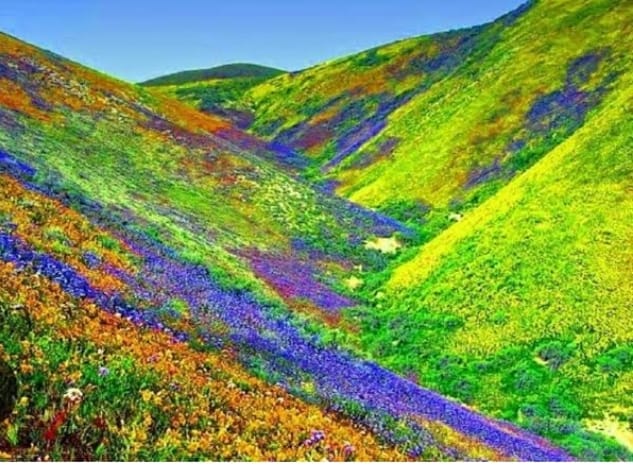 IMG-20250601-WA0120