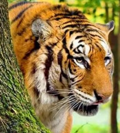 IMG-20250729-WA0133