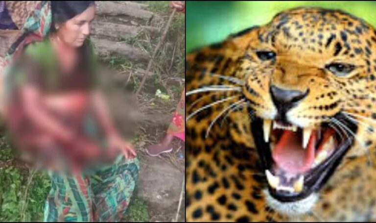 2ac9ecd3-0611-4d62-9f90-fed353c711d8