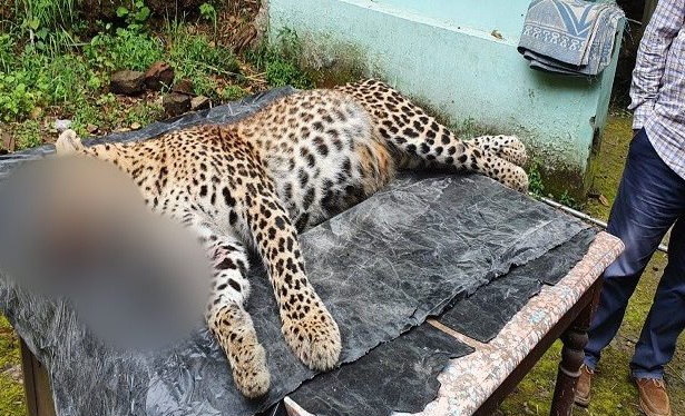 CREATOR: gd-jpeg v1.0 (using IJG JPEG v62), quality = 82?