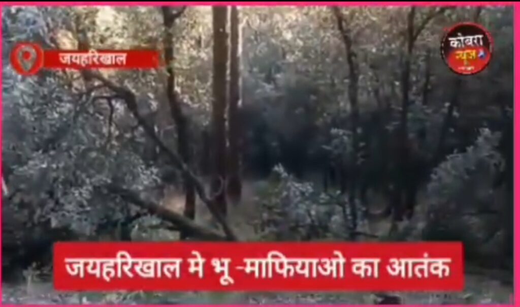 Screenshot_20251208_082157_Gallery