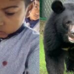 à¤_à¤¾à¤²à¥_-1766387701227