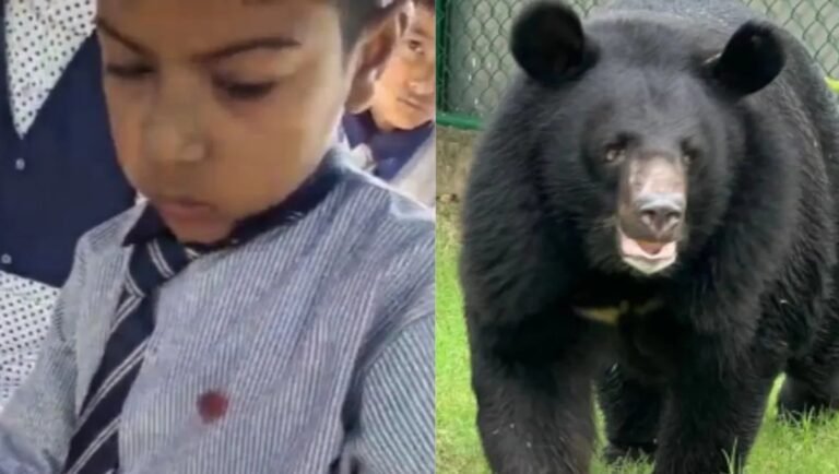 à¤_à¤¾à¤²à¥_-1766387701227