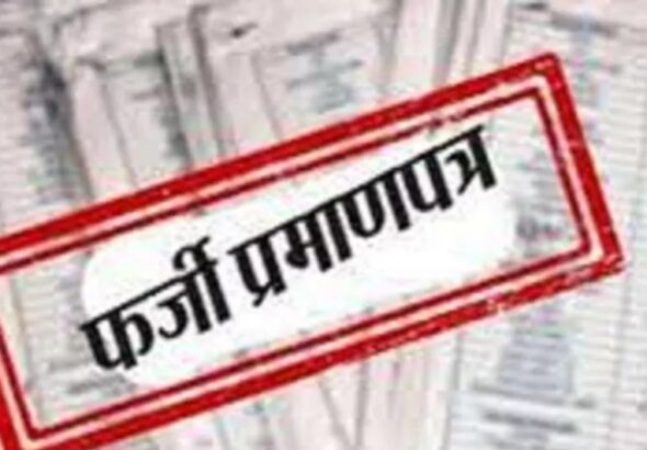 10_11_2022-fake_caste_certificate_23195793_0375636