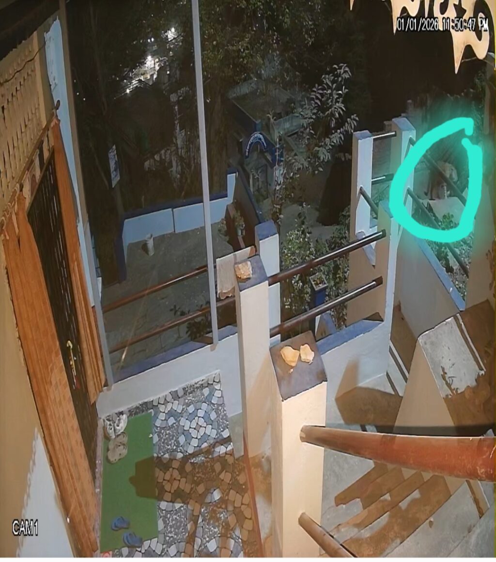 Screenshot_20260106_213933_Gallery