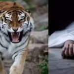 Screenshot_20260111_185729