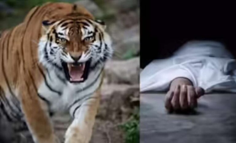 Screenshot_20260111_185729