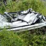 cats-2025-08-1feab23a8e6dd20e7a138f9d6c402ebf