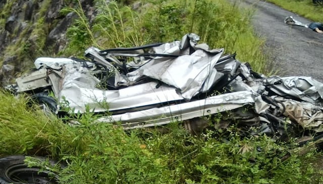 cats-2025-08-1feab23a8e6dd20e7a138f9d6c402ebf