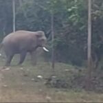 kalgaugdhha-ma-itaramadaeta-kalja-ka-nakata-makhaya-maraga-ka-para-kara-khata-ma-jata-hatha-sarata-savatha_d31dbf89a4ef4efc588a8a4e7722c417