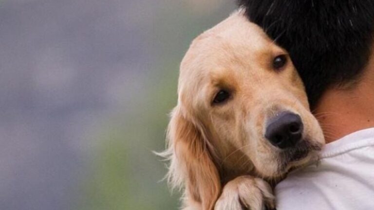 woman_was_slammed_by_social_media_users_as_she_named_her_pet_dog_1648134342