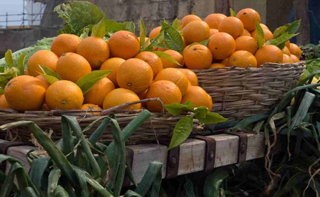 पहाड़ी-फल-माल्टा-1