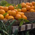 पहाड़ी-फल-माल्टा-1