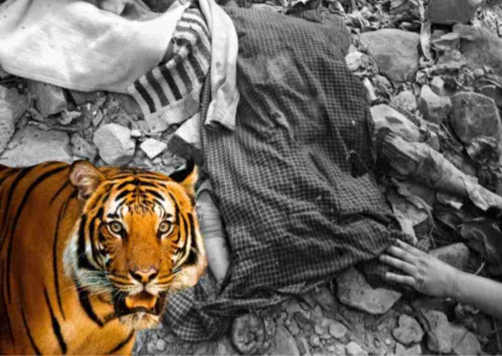 1002022783_11zon (1)