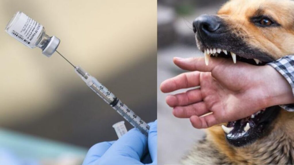 copy_right_on_shubh_mangal_saavdhan_14-sixteen_nine