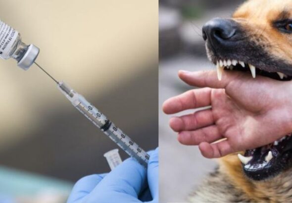 copy_right_on_shubh_mangal_saavdhan_14-sixteen_nine