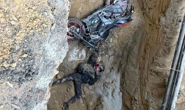 hadesd2biaarbuy_1770363330