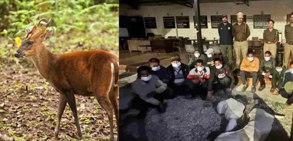 Collage_2026-03-06_12_28_182