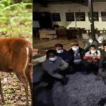 Collage_2026-03-06_12_28_182