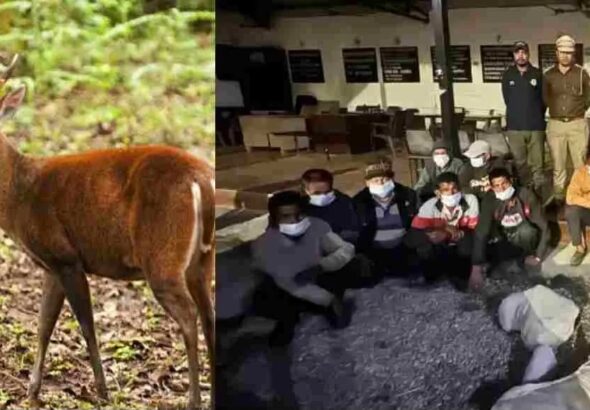 Collage_2026-03-06_12_28_182