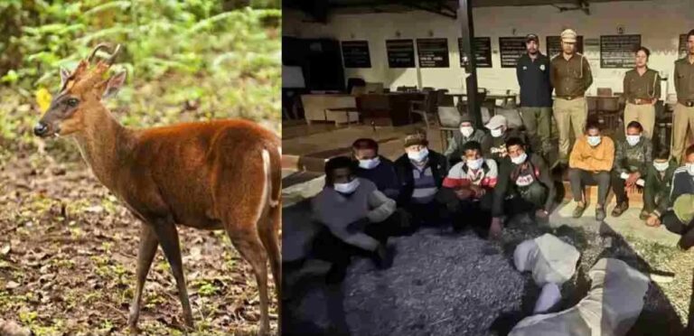 Collage_2026-03-06_12_28_182