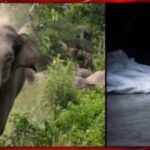 ce96c327-6430-4dfc-b876-76cb8bf3b53b-2026-04-29-12-17-13