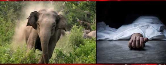 ce96c327-6430-4dfc-b876-76cb8bf3b53b-2026-04-29-12-17-13