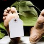 images-2023-02-14T113102.352