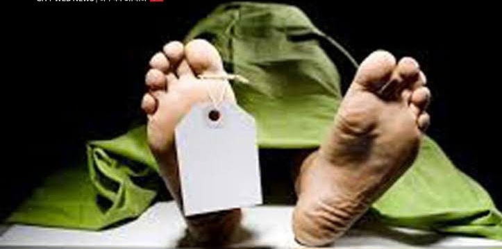 images-2023-02-14T113102.352