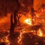 02_05_2024-forest_fire_12345_23709208_259626_m