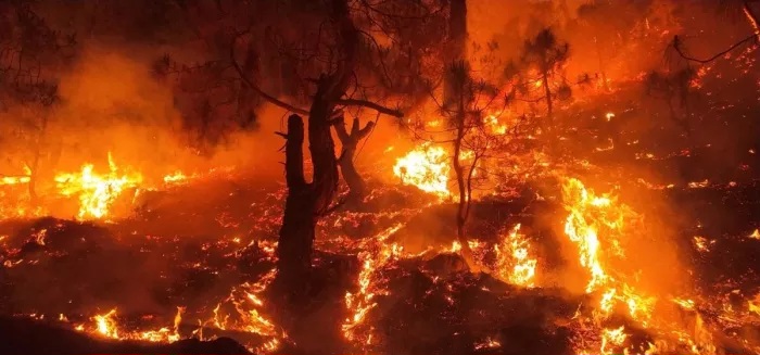 02_05_2024-forest_fire_12345_23709208_259626_m