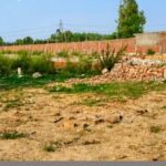 news-20260819-070800-35ab1173